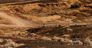 26011期胜负彩足彩：多特主场剑指三分，圣保利客场全崩难续命